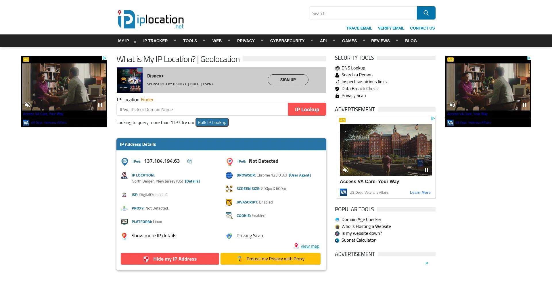 Screenshot of iplocation.net homepage