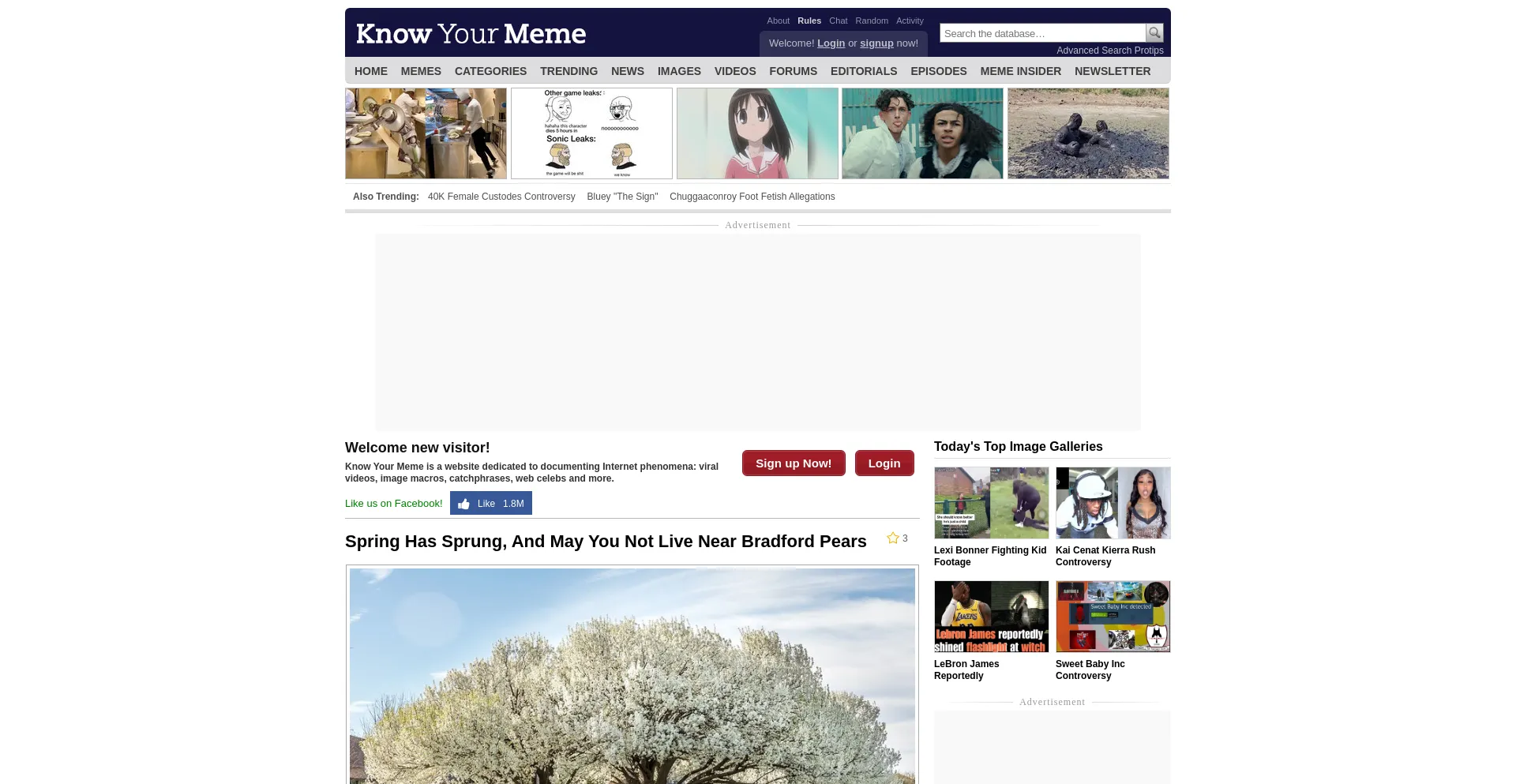 Screenshot of knowyourmeme.com homepage