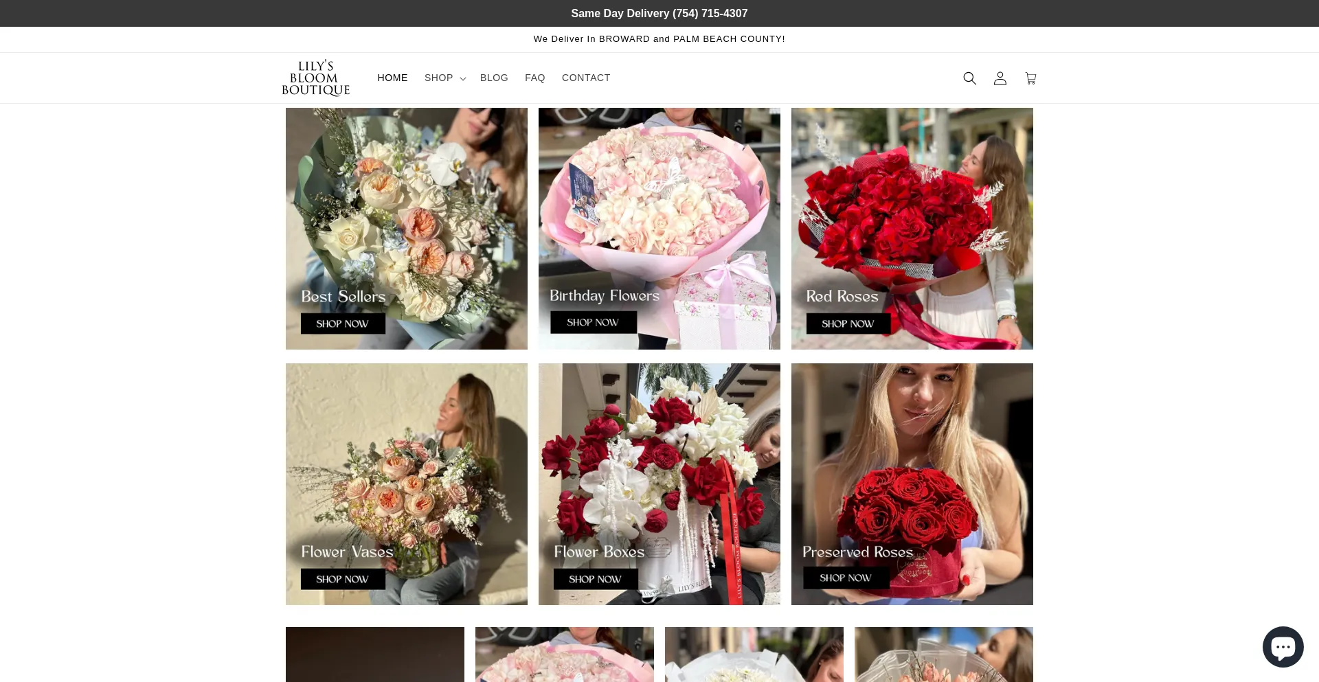 Screenshot of lilysbloomboutique.com homepage