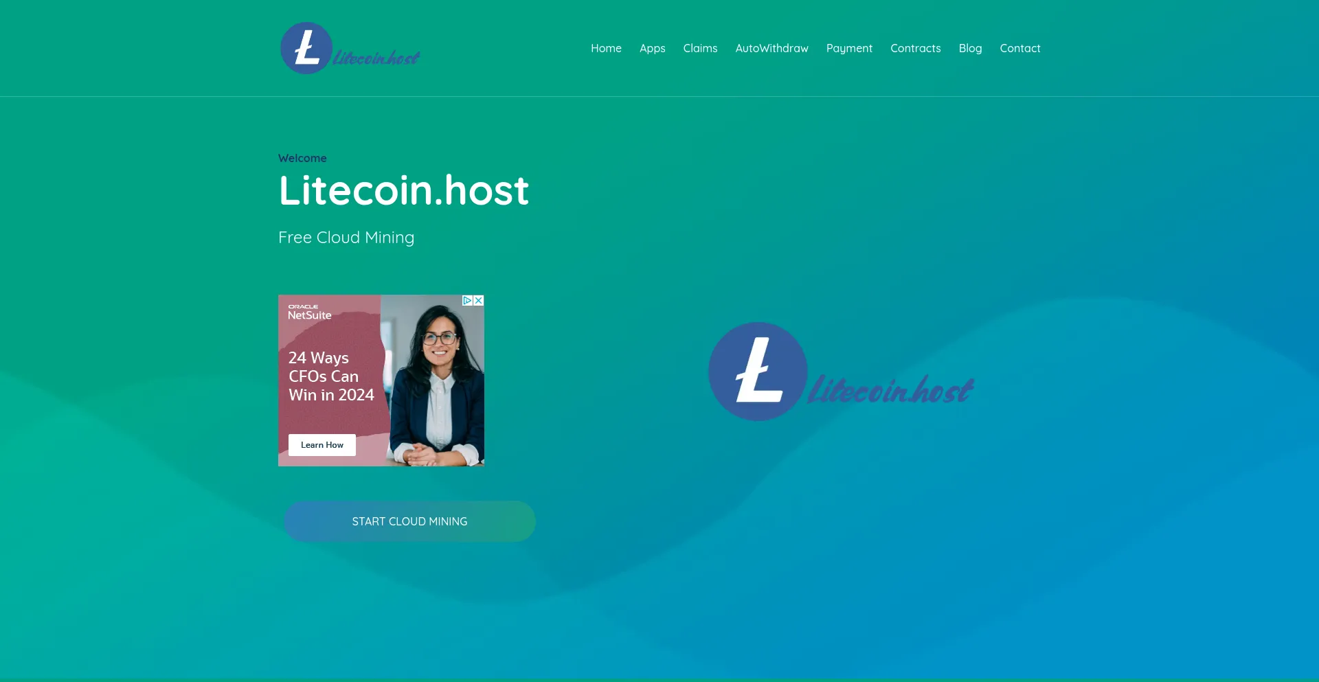 Screenshot of litecoin.host homepage