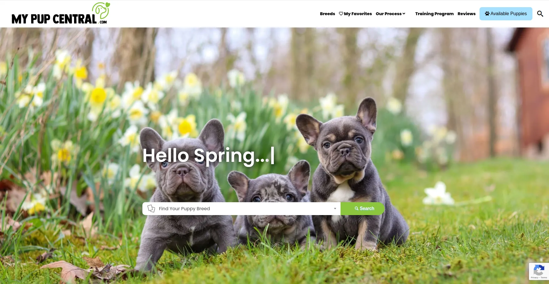 Screenshot of mypupcentral.com homepage