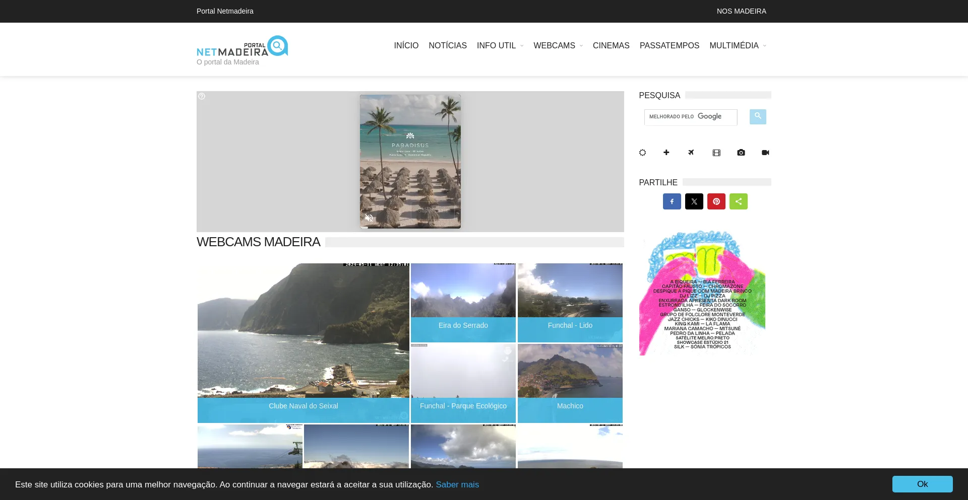 Screenshot of netmadeira.com homepage