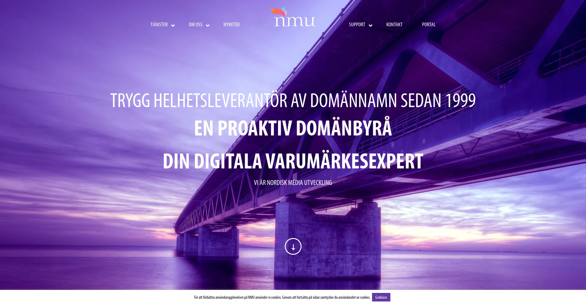 Screenshot of nmugroup.se homepage