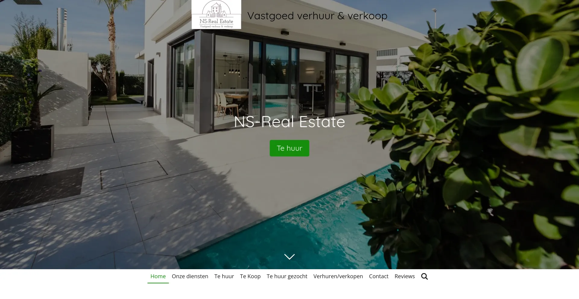 Screenshot of ns-realestate.nl homepage