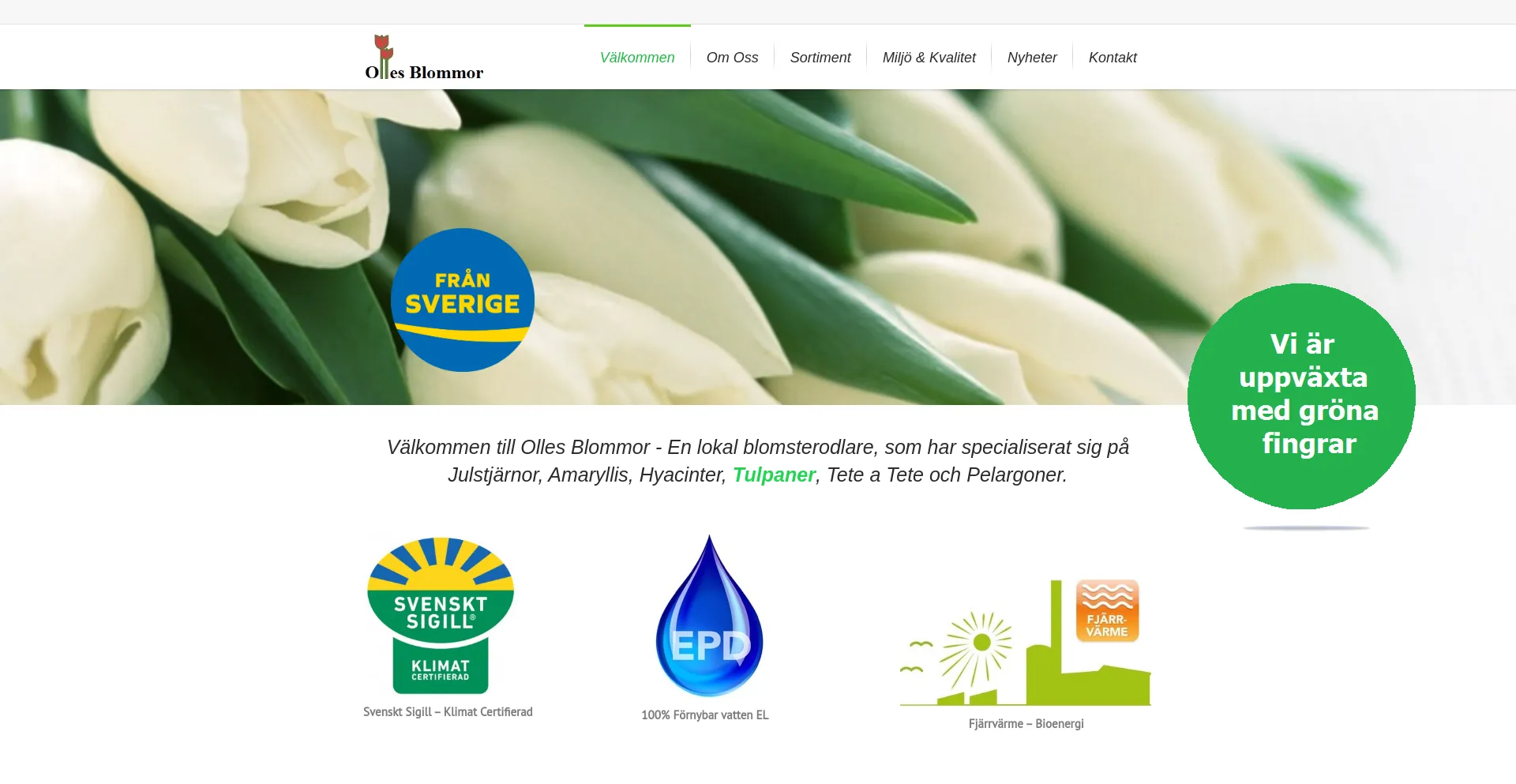 Screenshot of ollesblommor.se homepage