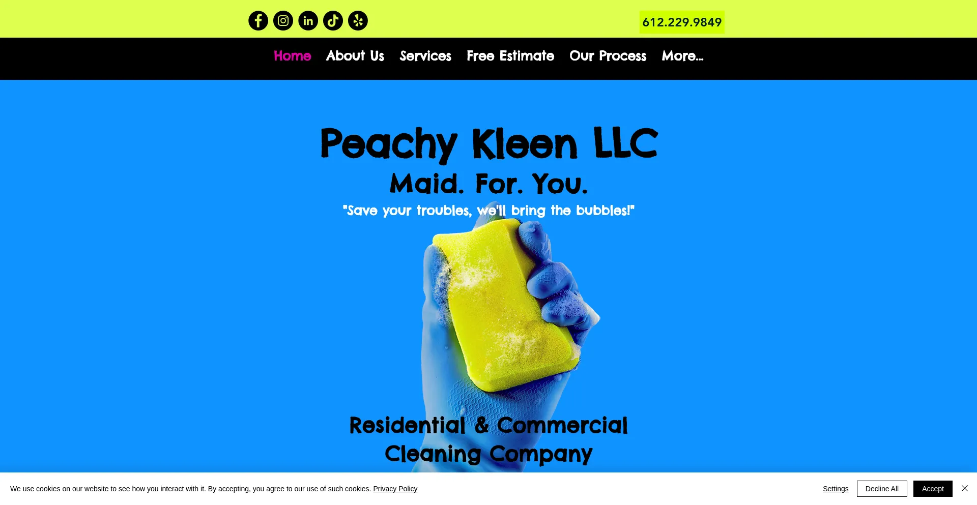 Screenshot of peachykleenmn.com homepage