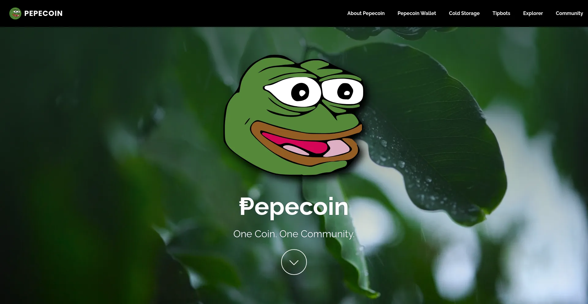 Screenshot of pepecoin.org homepage