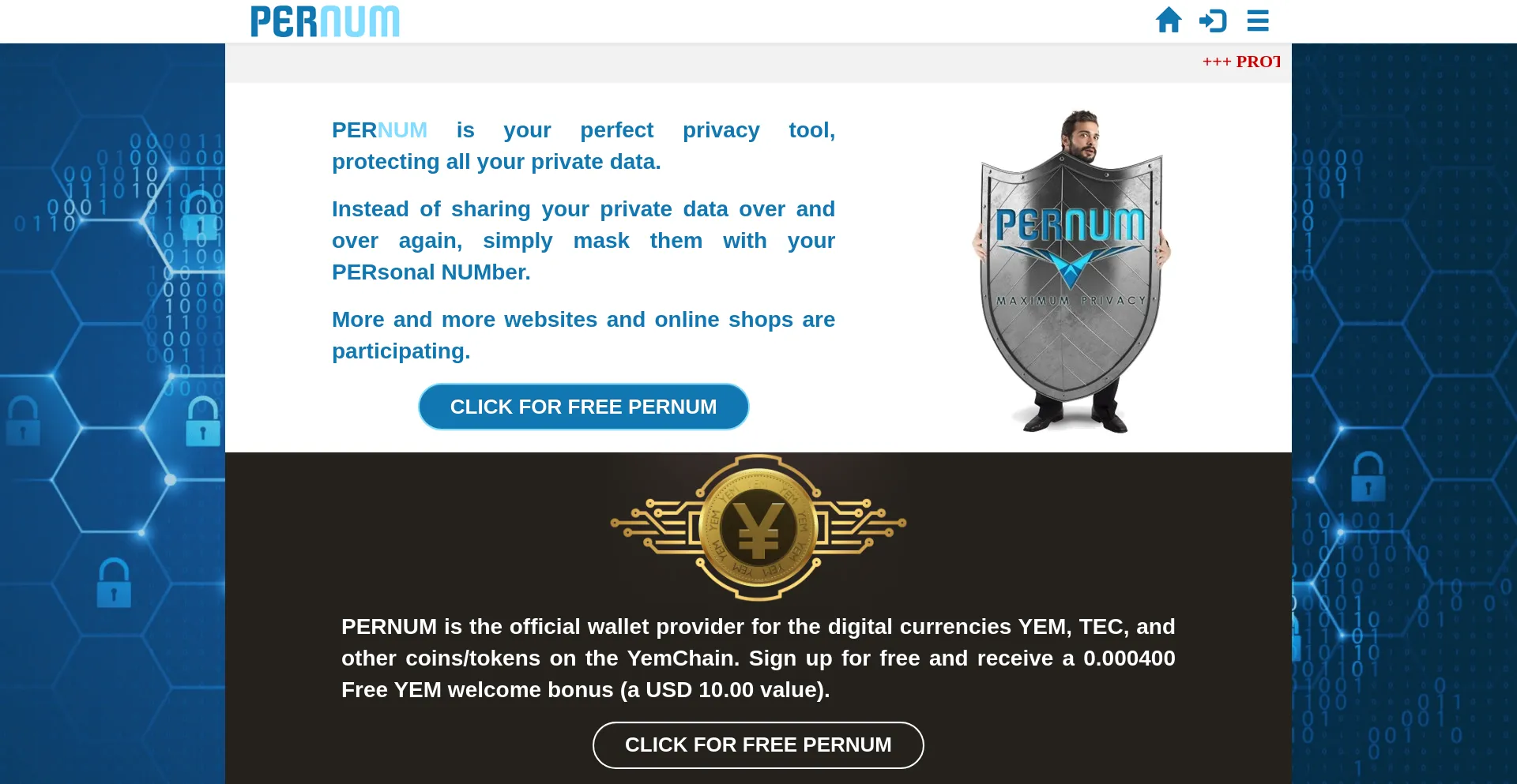 Screenshot of pernum.com homepage