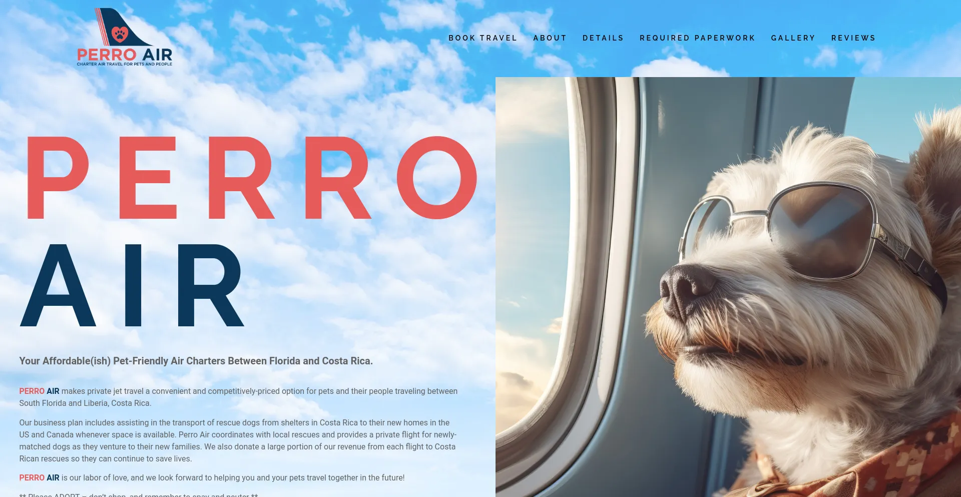 Screenshot of perroair.com homepage