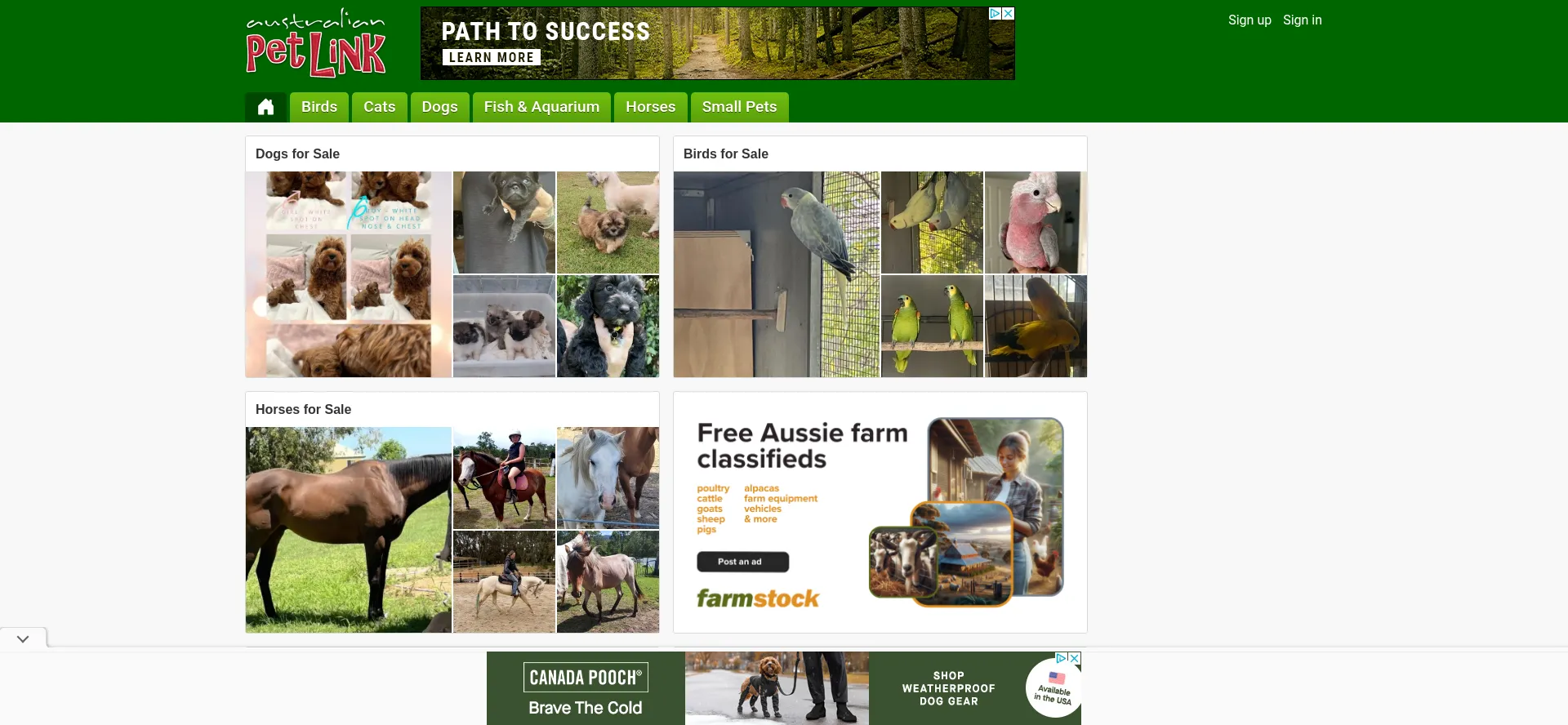 petlink.com.au