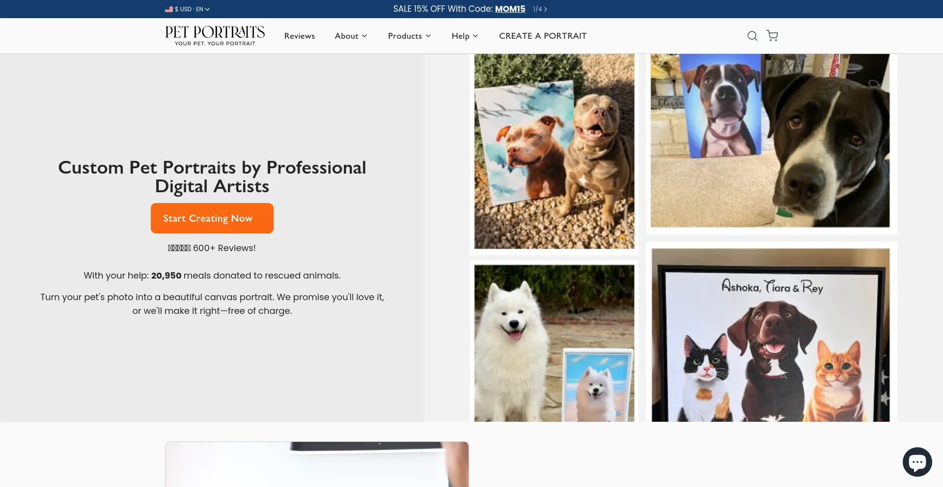 Screenshot of petportraits.com homepage