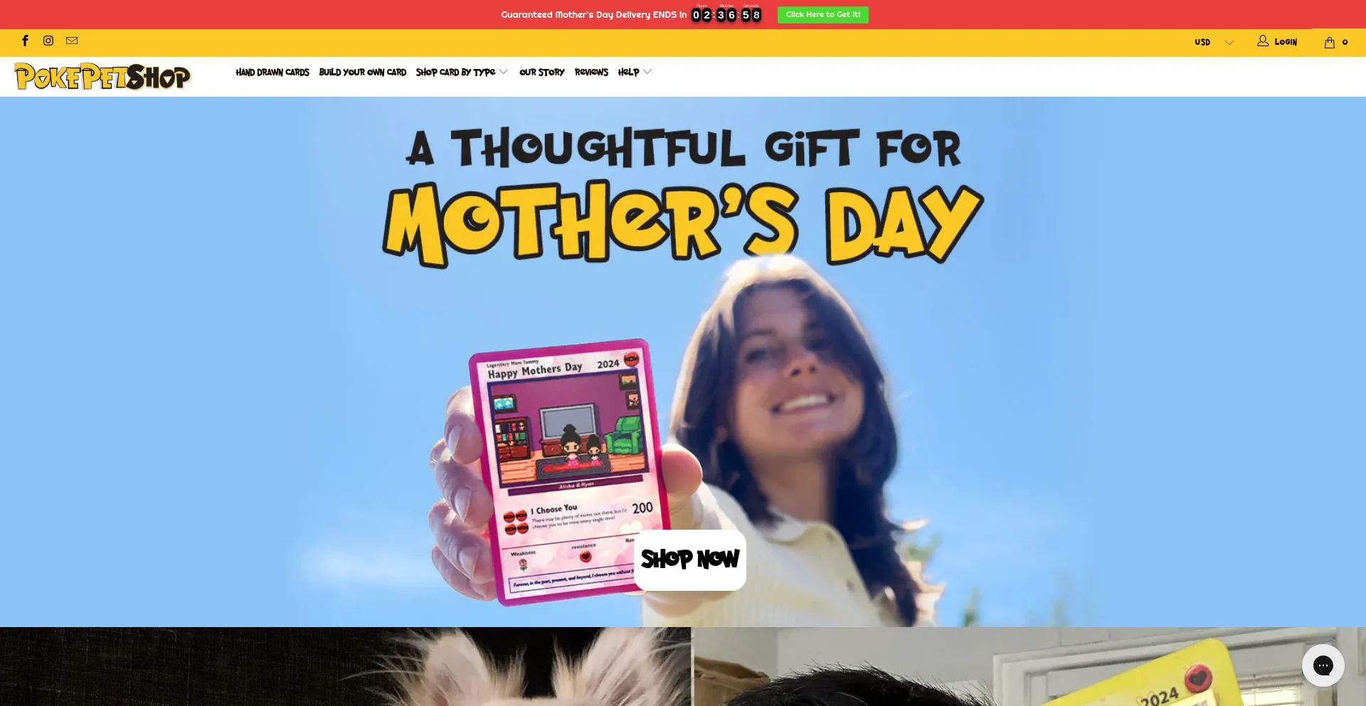 Screenshot of pokepetshop.com homepage