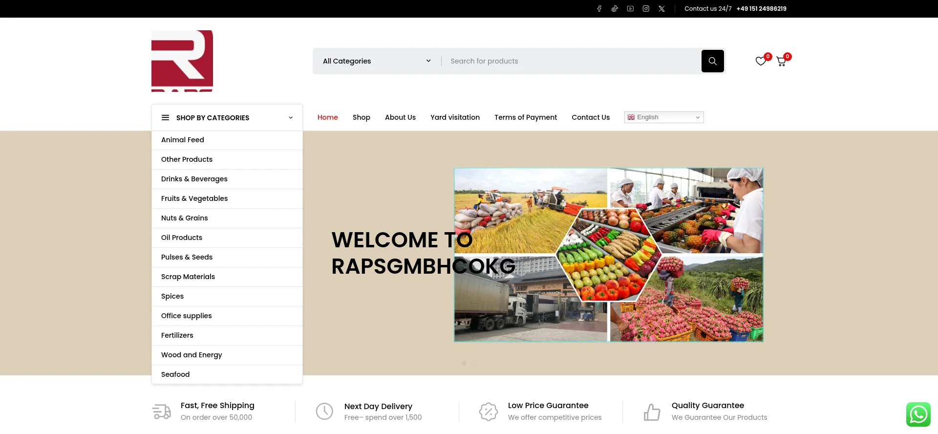 Screenshot of rapsgmbhcokg.com homepage