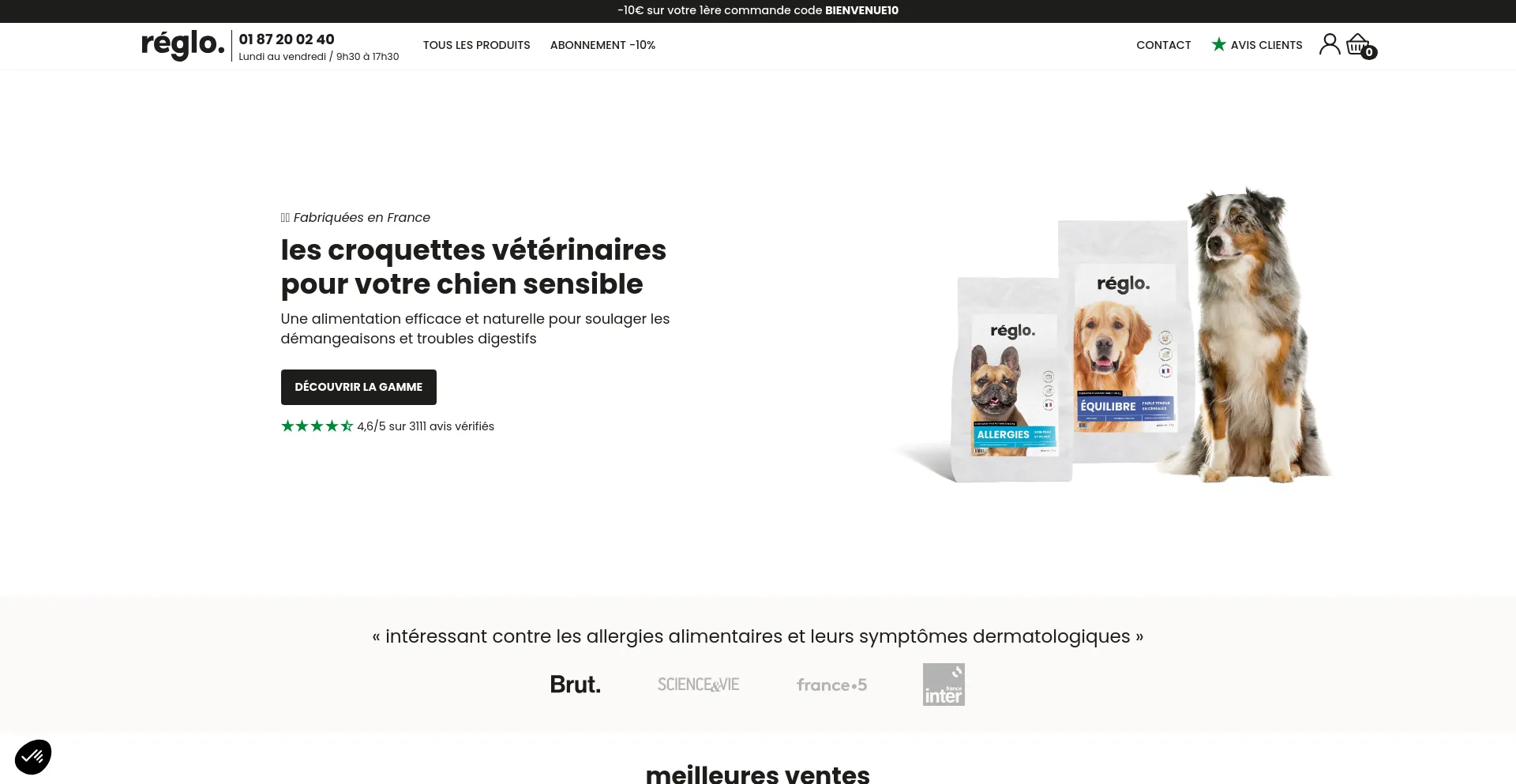 Screenshot of reglo.fr homepage