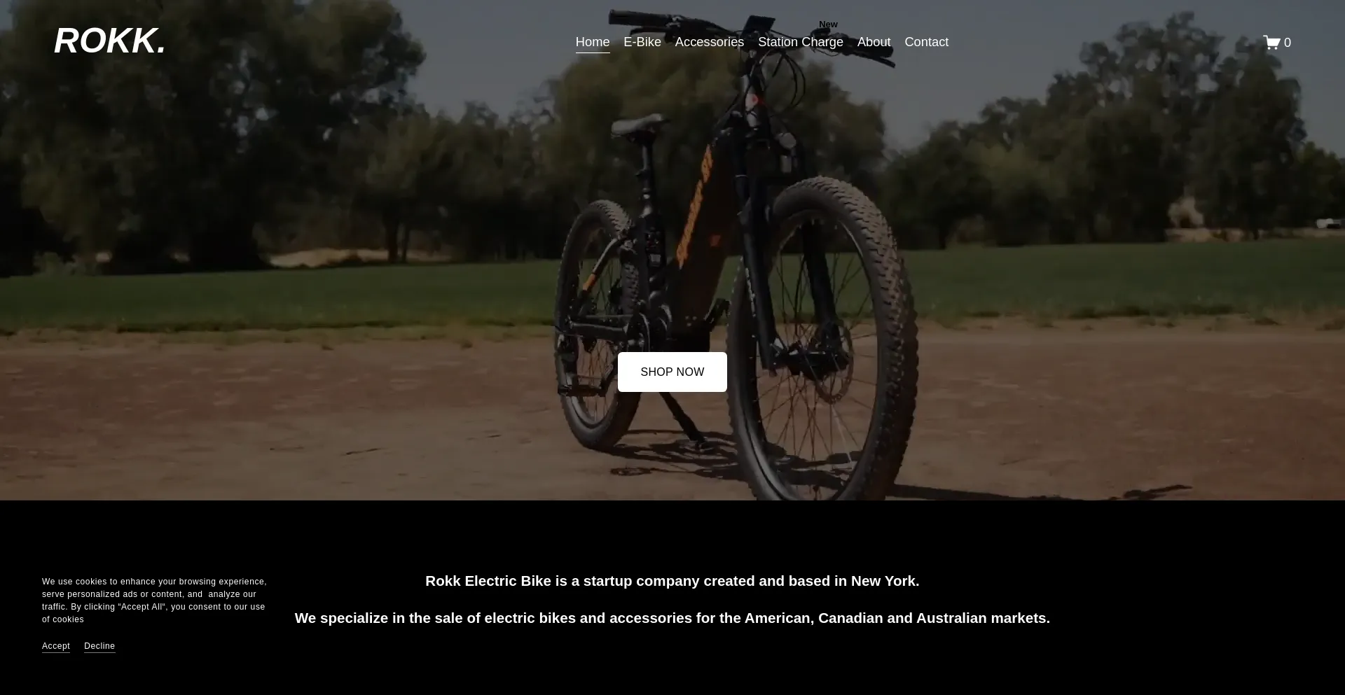 Screenshot of rokkelectricbike.com homepage