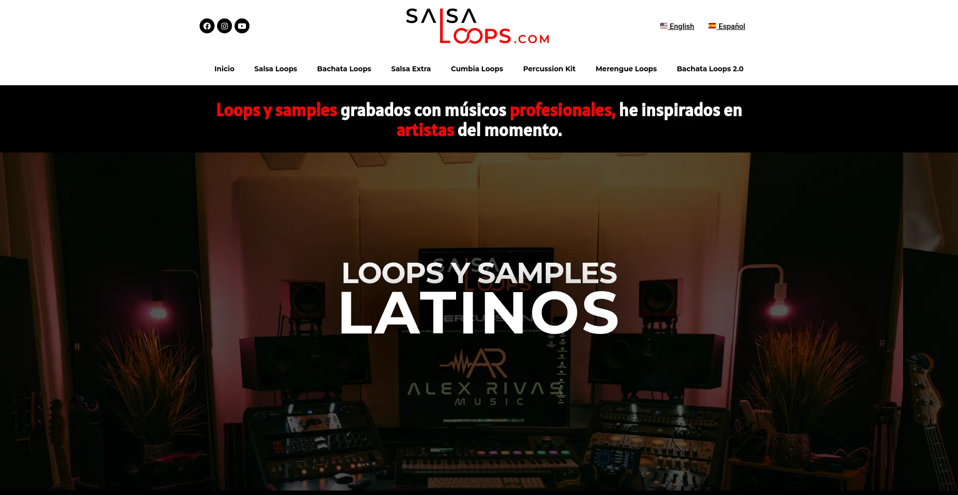 Screenshot of salsaloops.com homepage