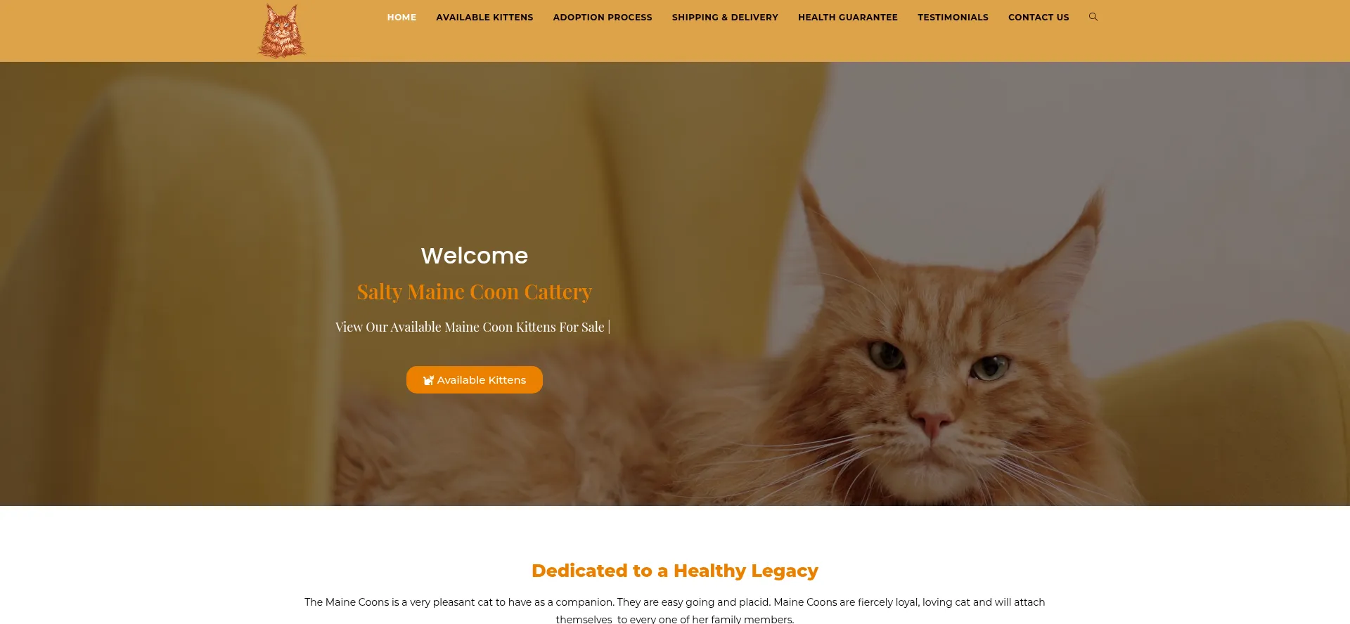 Screenshot of saltymainecooncattery.com homepage