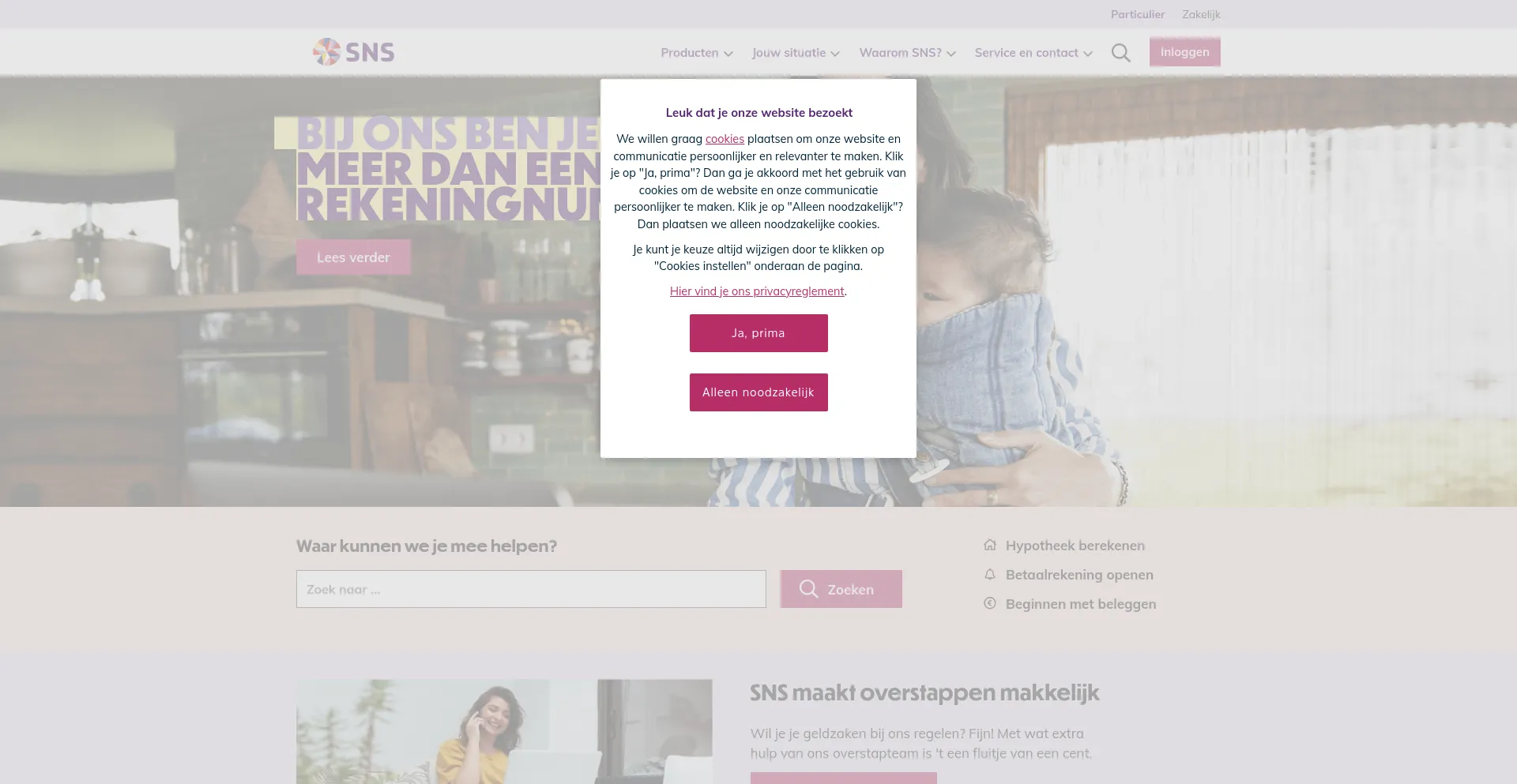 Screenshot of snsbank.nl homepage