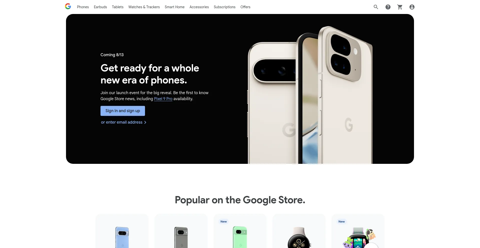 Screenshot of store.google.com homepage