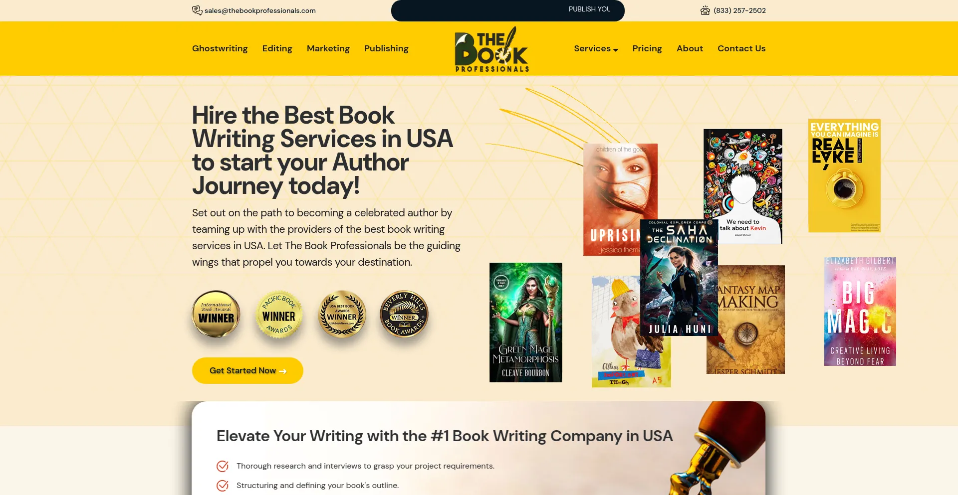 Screenshot of thebookprofessionals.com homepage