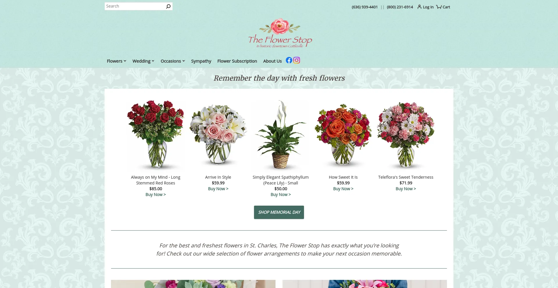 Screenshot of theflowerstop.net homepage