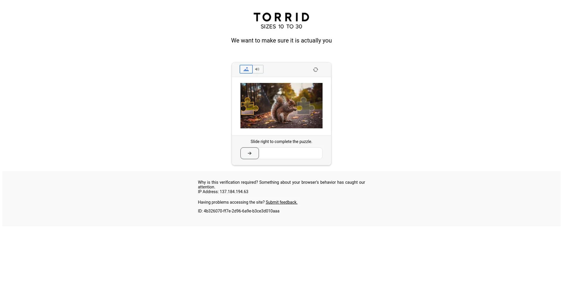 Screenshot of torrid.com homepage