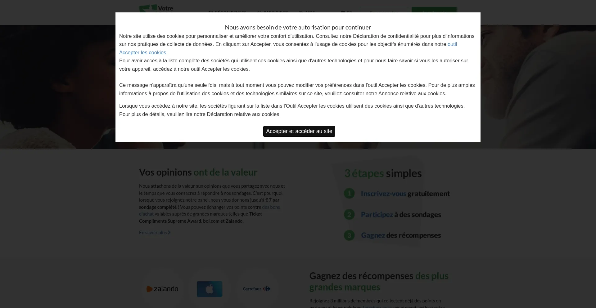 Screenshot of votreopinion.be homepage