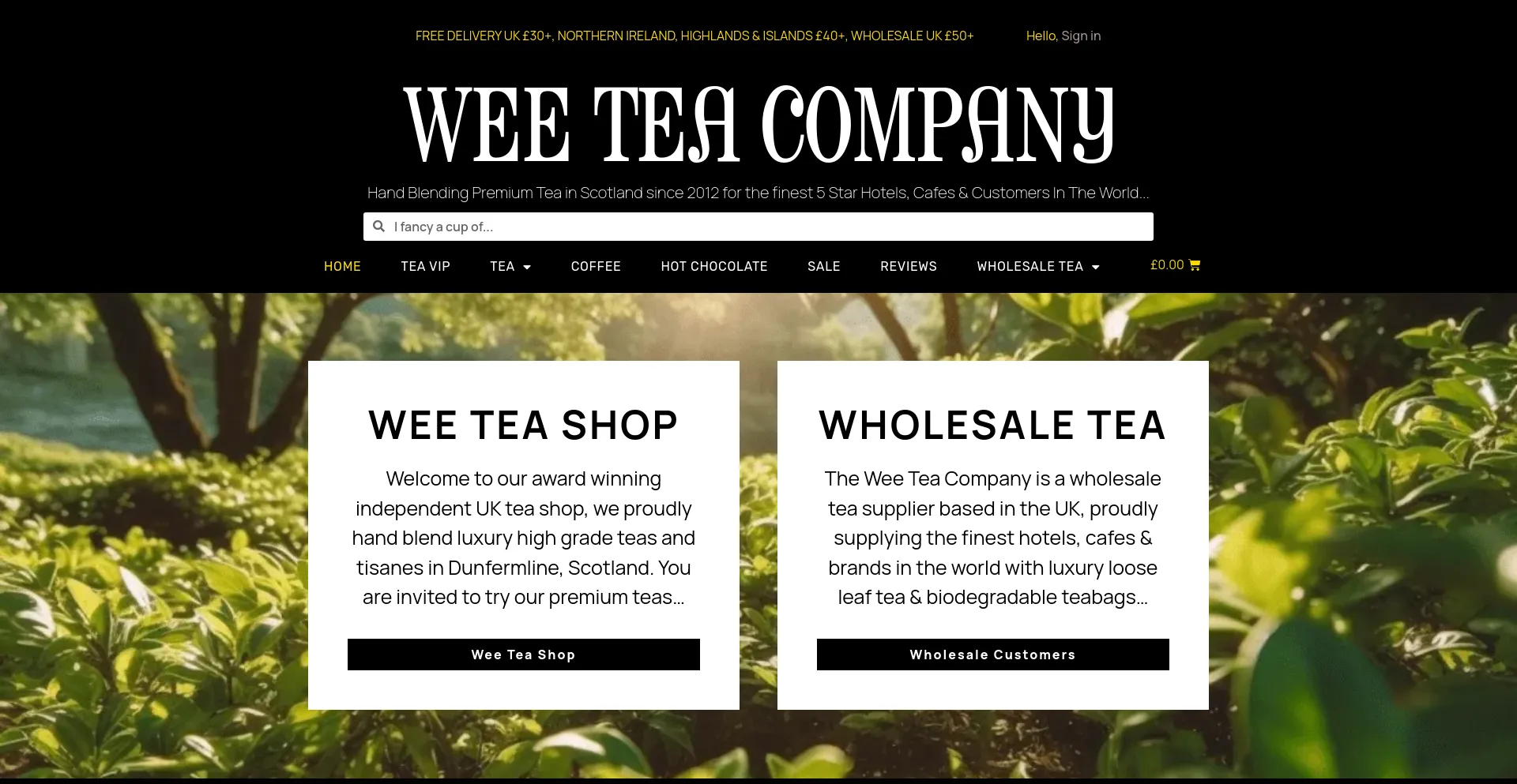 Screenshot of weeteacompany.com homepage