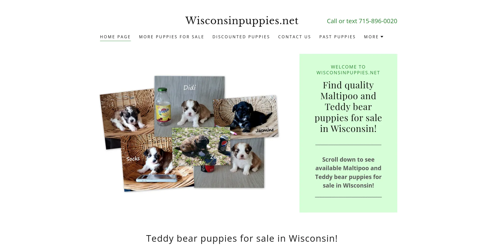 wisconsinpuppies.net