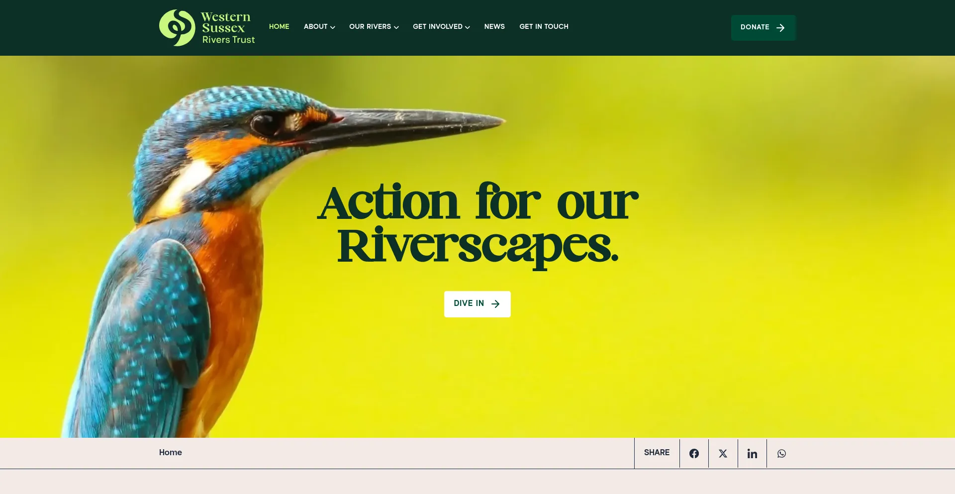 Screenshot of wsrt.org.uk homepage