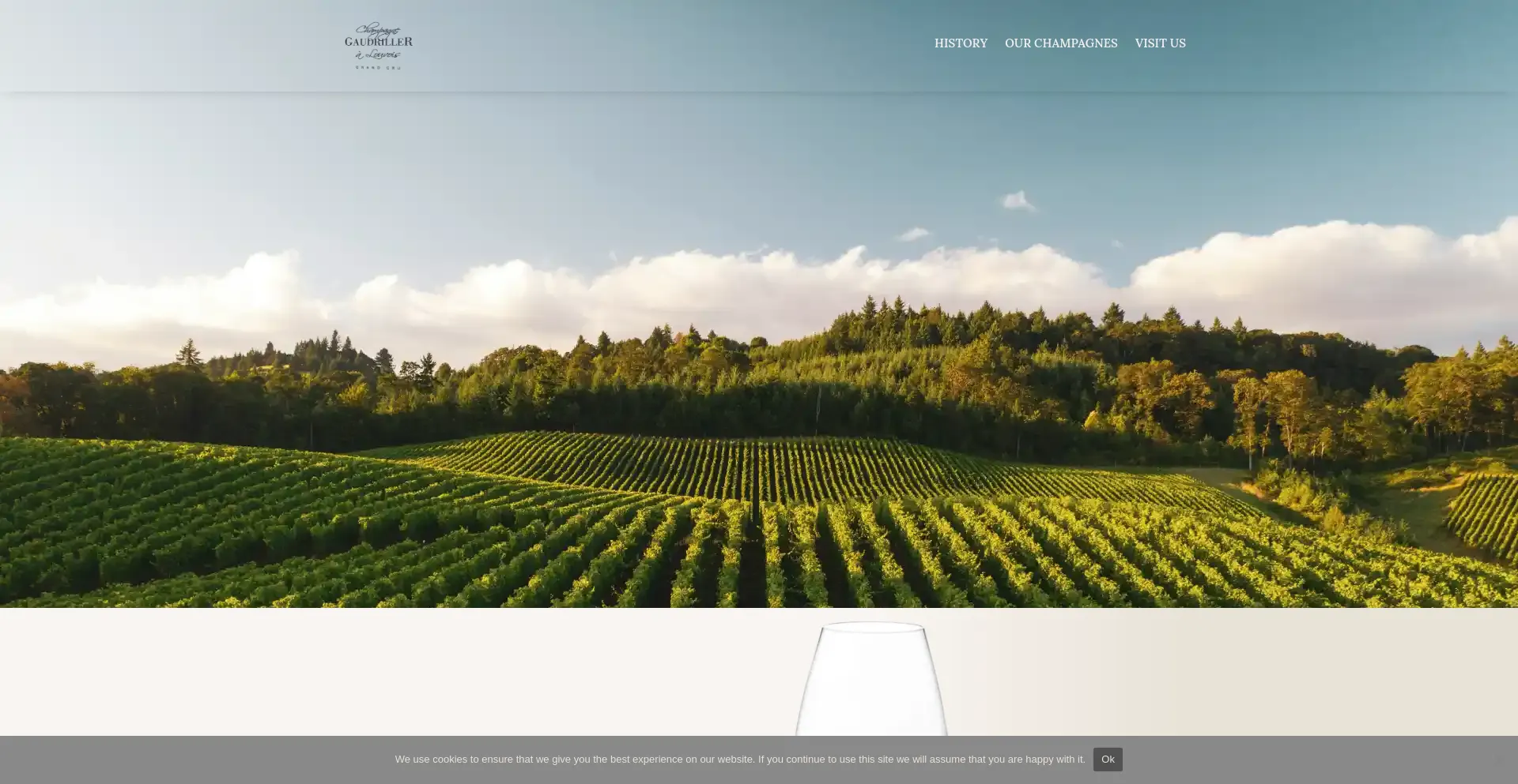 Screenshot of yourwinesite.com homepage